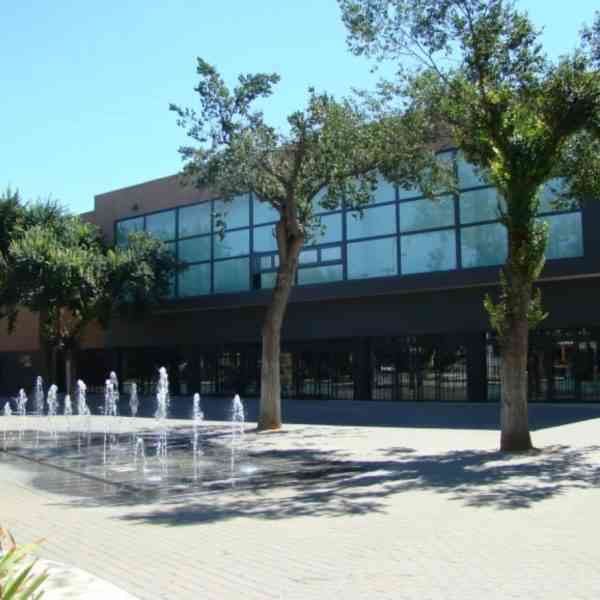 Suspendidas la “Noche Vieja en el CERE” y las “Campanadas Churriegas” en Miguelturra