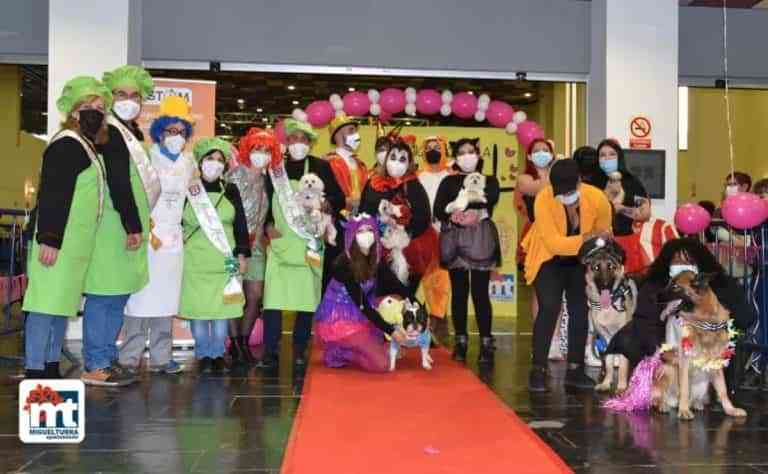 Ganadores del concurso de disfraces de animales celebrado en el carnaval de Miguelturra