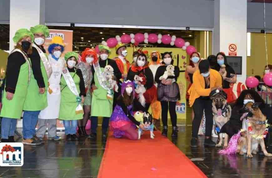 Ganadores del concurso de disfraces de animales celebrado en el carnaval de Miguelturra