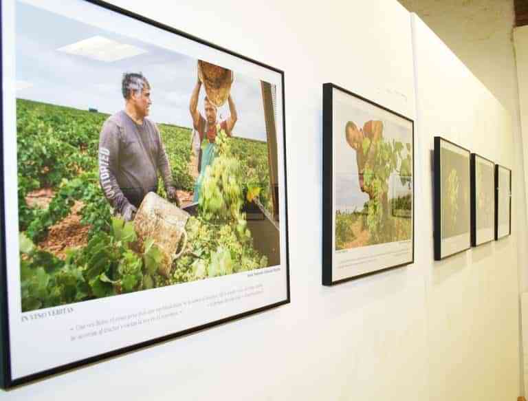 Exposición “In vino veritas” del colectivo fotográfico Raw abierta hasta el 14 de abril en Casa de Baños de Puertollano