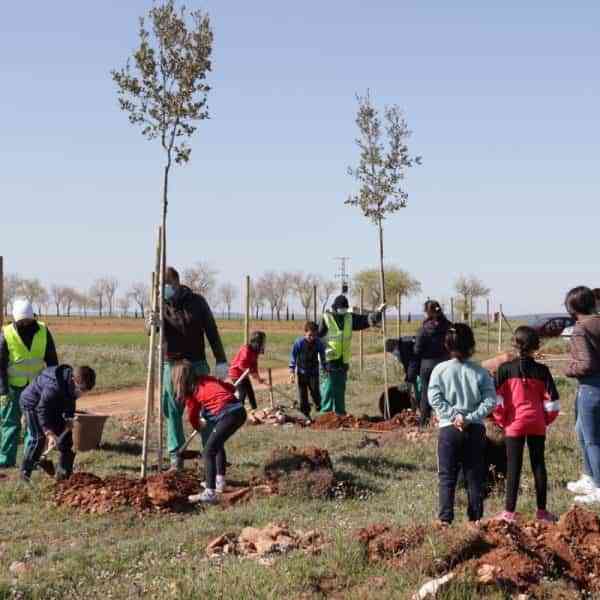 Escolares reforestaron la Vereda de Siles en Manzanares por el Día del Árbol 2022