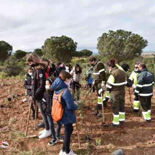 Alumnado de primaria planta 2500 especies autóctonas en la Sierra de San Isidro en Miguelturra