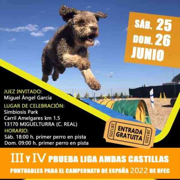 III y IV prueba de Agility de la “Liga Ambas Castillas” en Miguelturra el 25 y 26 de junio  