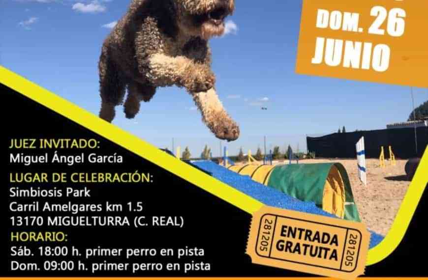 III y IV prueba de Agility de la “Liga Ambas Castillas” en Miguelturra el 25 y 26 de junio