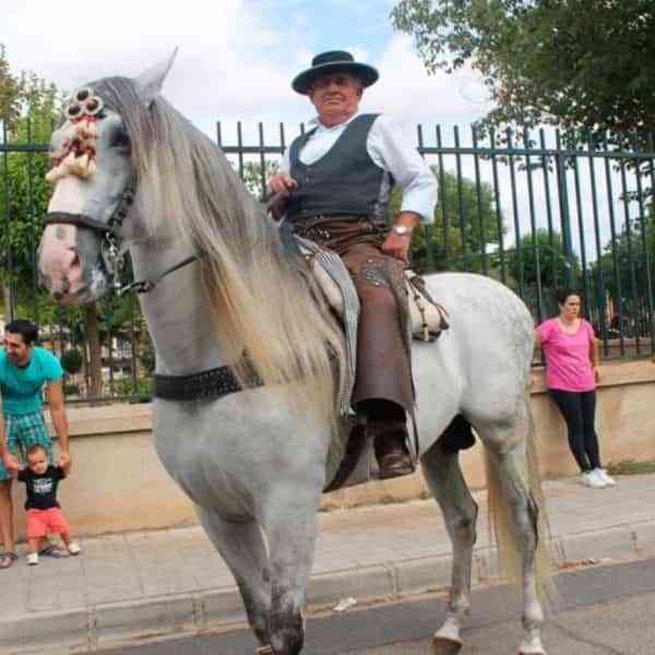 El pasacalles de la Asociación de Amigos del Caballo hará su recorrido por Miguelturra el domingo 11 de septiembre