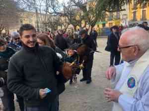 El reparto de panecillos y la procesión por la festividad de San Antón mañana 19 de enero en Cuenca
