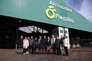 Castilla-La Mancha salva la campaña de aceite de oliva, afianzándose como segunda región productora de España