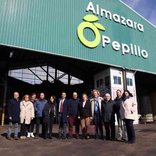 Castilla-La Mancha salva la campaña de aceite de oliva, afianzándose como segunda región productora de España