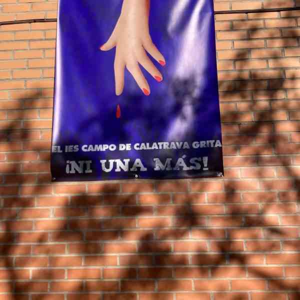 La exposición «Violencia hacia las mujeres en la red» estará durante el mes de febrero 2023 en el IES «Campo de Calatrava» de Miguelturra