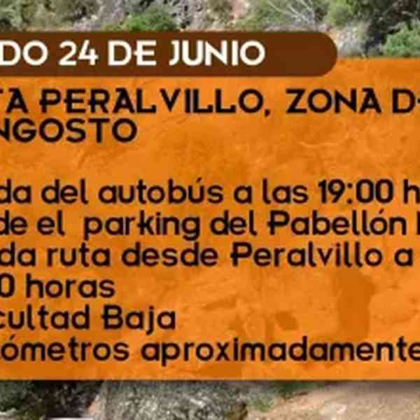 Ruta Peralvillo zona del Congosto el 24 de junio del programa “Paseando por Miguelturra”