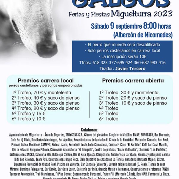 Gran carrera de galgos especial en la Feria y Fiestas de Miguelturra 2023 el 9 de septiembre en el albercón de Nicomedes
