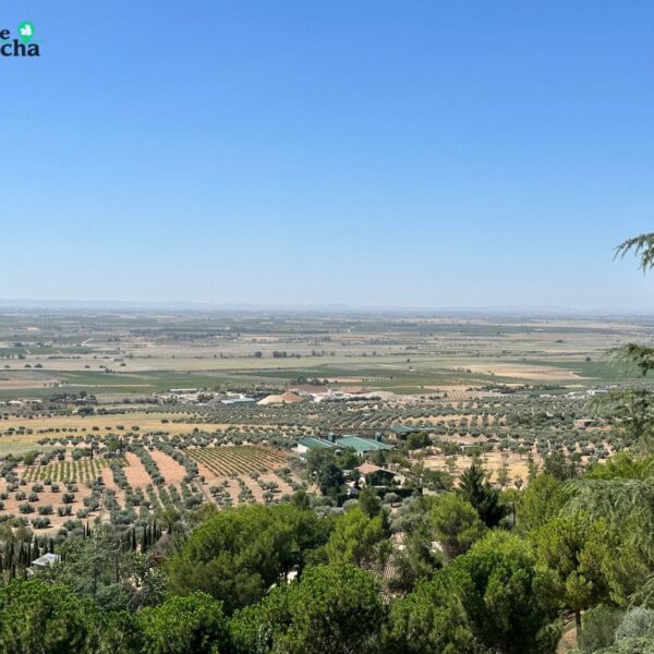 Castilla-La Mancha: El corazón geográfico de la península Ibérica