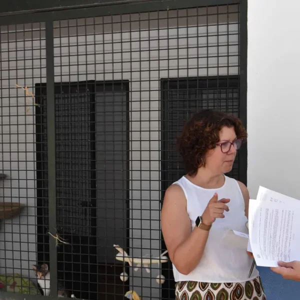 El Ayuntamiento y Gatómicas unen fuerzas para mejorar la gestión de las colonias felinas