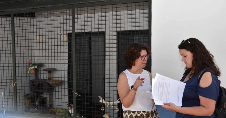 El Ayuntamiento y Gatómicas unen fuerzas para mejorar la gestión de las colonias felinas