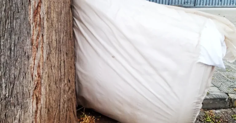 Sorpresa en el Punto Limpio: Empleado descubre una fortuna y la devuelve a su legítimo propietario