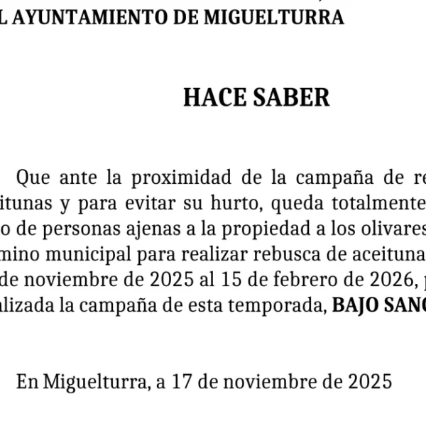 Bando Municipal: Medidas de Seguridad para la Próxima Campaña de Recolección de Aceitunas