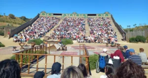 Participación Activa en Programas de Inclusión del Área de Servicios Sociales