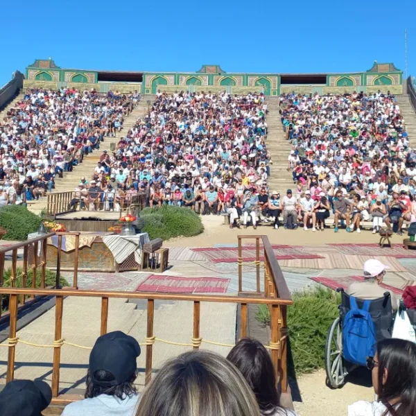 Participación Activa en Programas de Inclusión del Área de Servicios Sociales