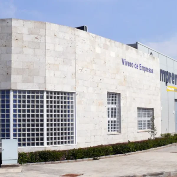 Convocatoria Abierta para el Taller «Talleres MÁS MIGUELTURRA» hasta Enero de 2026