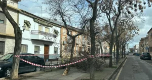 Borrasca Kristin Causa Estragos en Zonas Verdes de Miguelturra