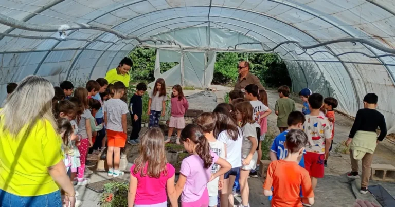 Estudiantes del CEIP Elena Maseras Descubren la Importancia de las Plantas