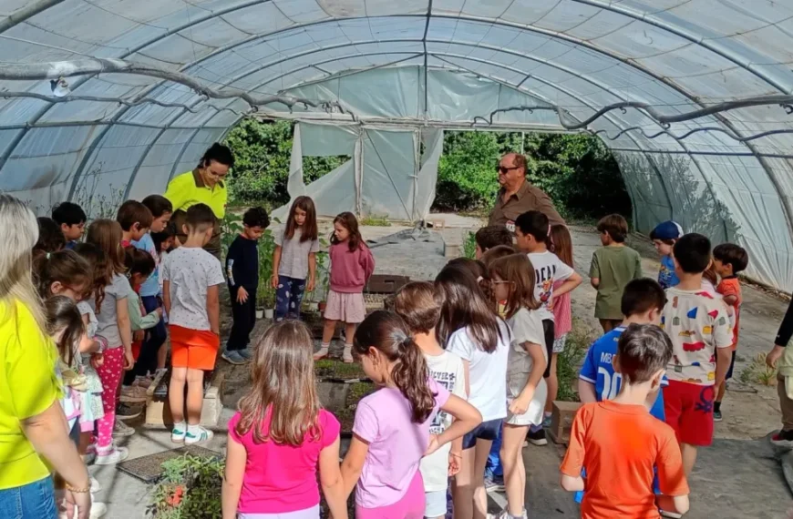 Estudiantes del CEIP Elena Maseras Descubren la Importancia de las Plantas