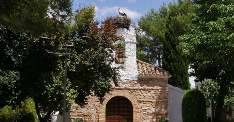 El Ayuntamiento impulsará un proyecto urgente para hacer realidad la depuradora de Peralvillo