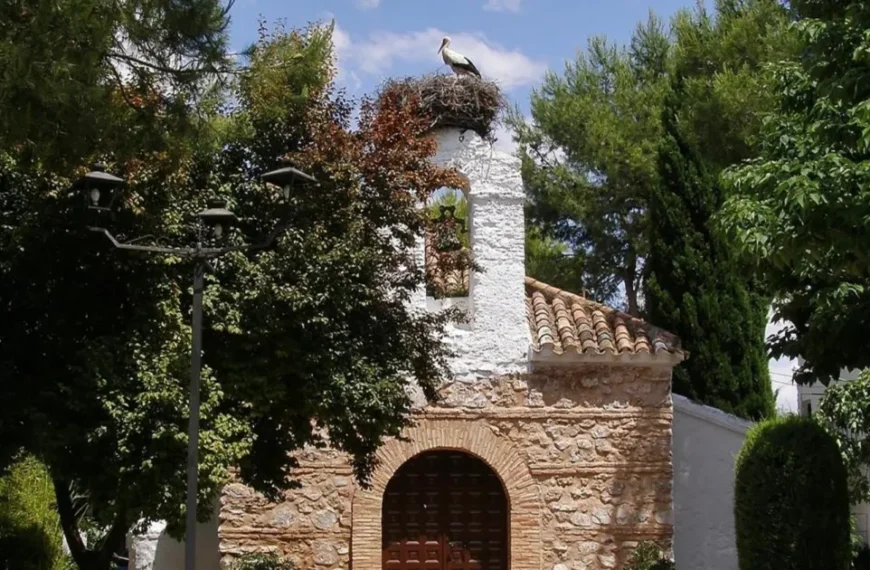El Ayuntamiento impulsará un proyecto urgente para hacer realidad la depuradora de Peralvillo