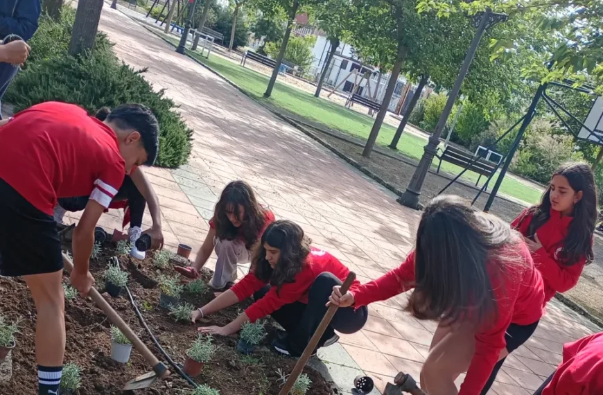 Escolares de Miguelturra Impulsan su Compromiso Ecológico con el Aula de Medio Ambiente